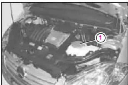 Mercedes-Benz AClass (2005) - ウオツヤ一液を補給する - 1