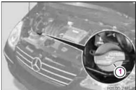 Mercedes-Benz AClass (2005) - ENJIN 才伊 - 1