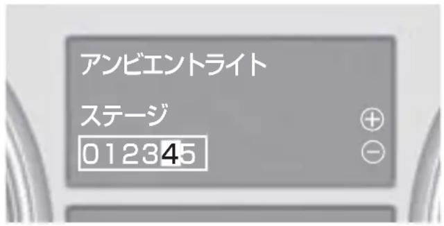 Mercedes-Benz MClass (2009) - 表示 設定内容 - 3