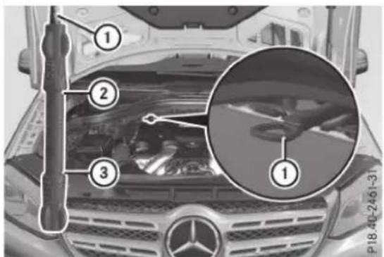 Mercedes-Benz GLS (2017) - Contrôle du niveau d'huile avec la à huile - 2