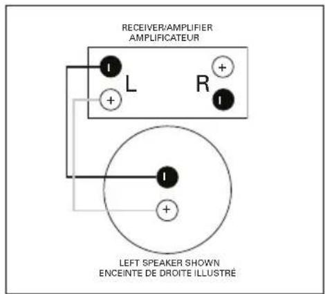 Paradigm AMS150R - Standard Connection Raccordement Standard - 1