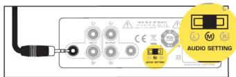 Paradigm A2 - WIRING | CÂBLAGE - 3