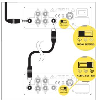 Paradigm A2 - WIRING | CÂBLAGE - 2