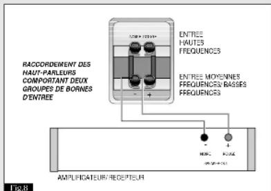 Paradigm ADP100 V1 - AUTRES OPTIONS DE RACCORDEMENT - 1