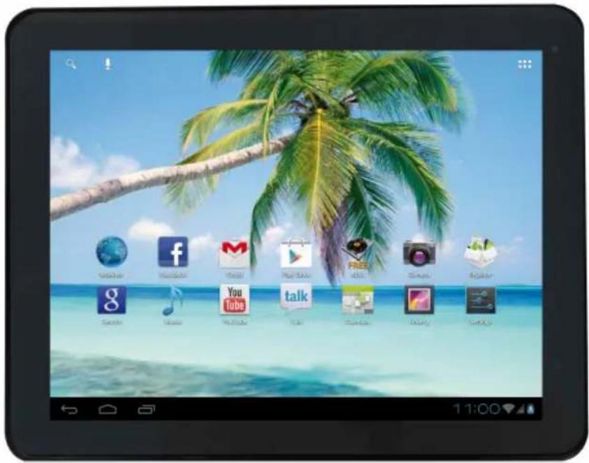 EASYPIX EasyPad 972 Dual Core - Manuel de l'utilisateur - 1