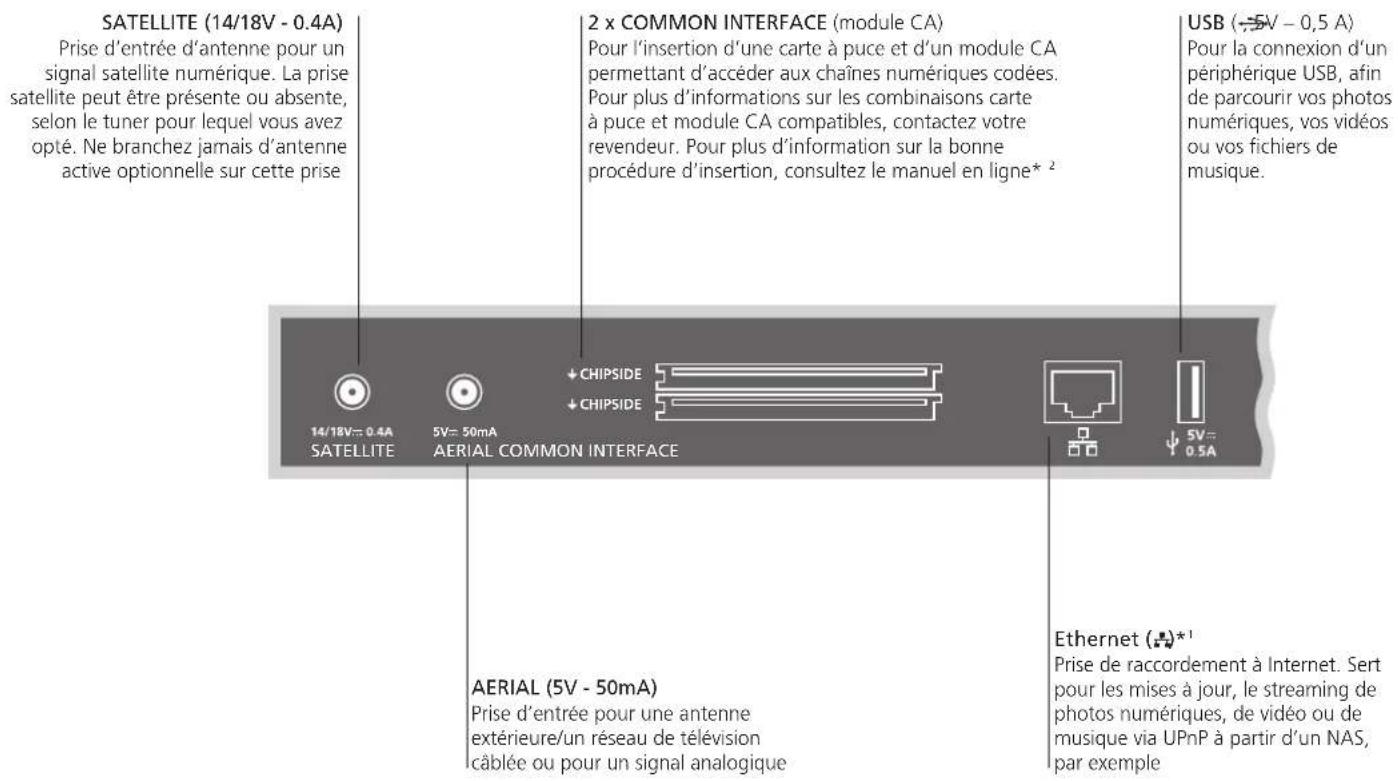 BANG & OLUFSEN BeoPlay V140 - Panneau de connexion – BeoPlay V1–40 - 1