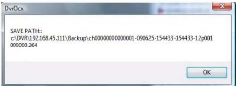 Perel CCTVSET10 - Guardar uma gravação à distância - 2
