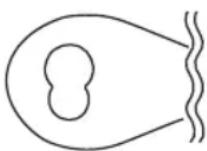 PROFICOOK PCRG 1068 - UWAGA: - 1