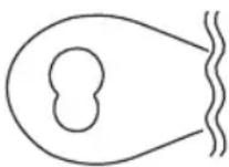 PROFICOOK PCRG 1068 - YBARA. - 1