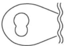 PROFICOOK PCRG 1068 - ATENCLON: - 1