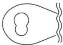 PROFICOOK PCRG 1068 - C - 1