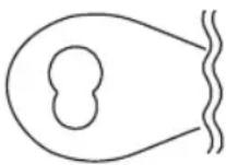 PROFICOOK PCRG 1068 - VIGYAZAT: - 1