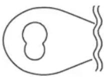 PROFICOOK PCRG 1068 - ATTENTION : - 1