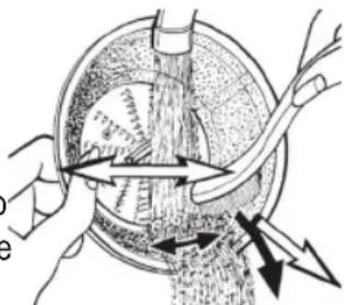 PROFICOOK PCAE 1002 - Tip - 1