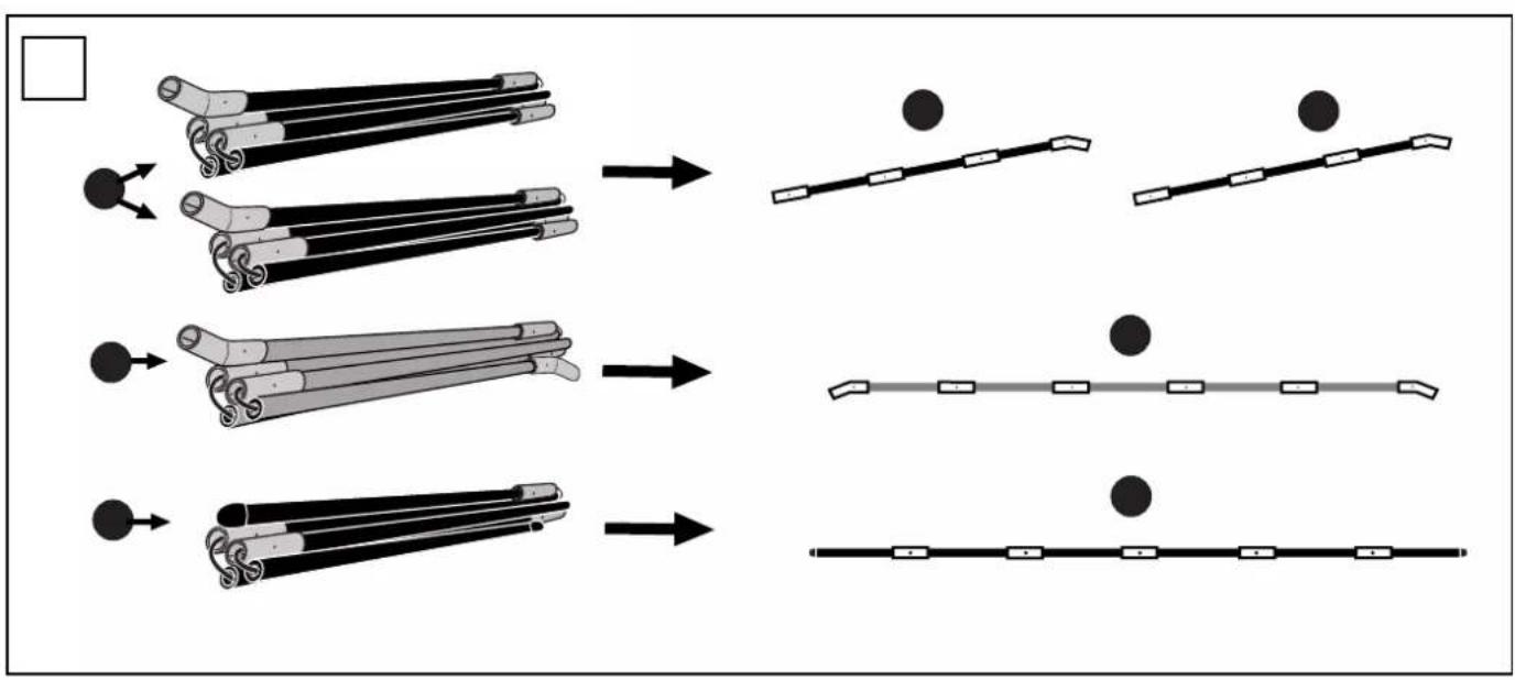 THULE QuickFit - 23