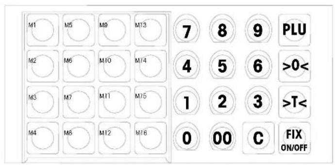 Mettler Toledo Tiger II RN10CNTRS - Anzeige und Tastatur - 2