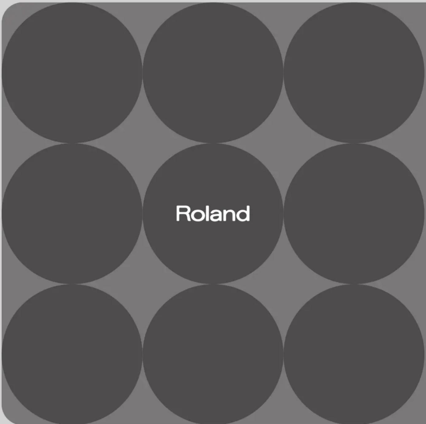 ROLAND FP80 - 你問合怎的怒口? - 1