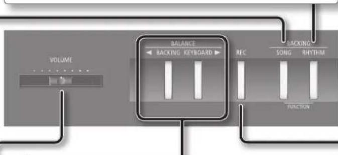 ROLAND FP80 - LUSU - 4