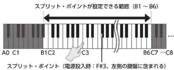 ROLAND FP80 - SPLIHT·PINTUto变 - 2