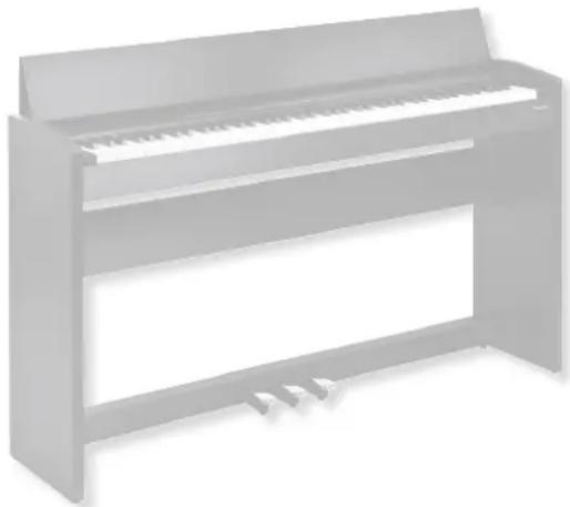 ROLAND F120 - Enregistrez votre jeu - 1