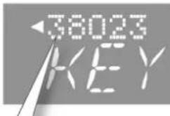 ROLAND FP50 - 制限事项 - 2