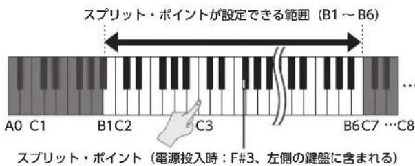 ROLAND FP50 - SPLIHT·PINTUto变 - 2