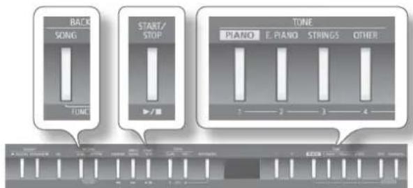 ROLAND FP50 - 于王曲左 - 1