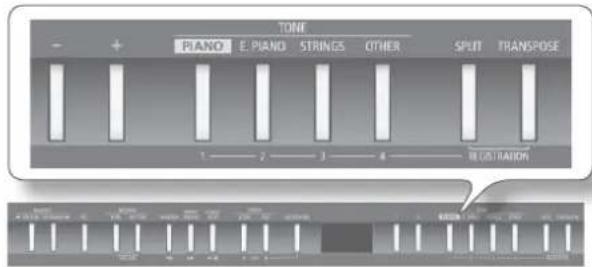 ROLAND FP50 - レジトレーニンを Respirant - 1