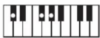 ROLAND BK3 - ×毛 - 57