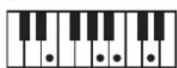 ROLAND BK3 - ×毛 - 66