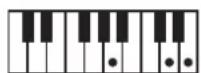 ROLAND BK3 - ×毛 - 130