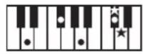 ROLAND BK3 - ×毛 - 10