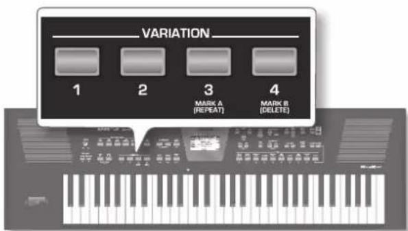 ROLAND BK3 - Ls入为演奏的 - 2