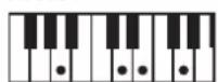 ROLAND BK3 - ×毛 - 136