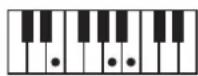 ROLAND BK3 - ×毛 - 60