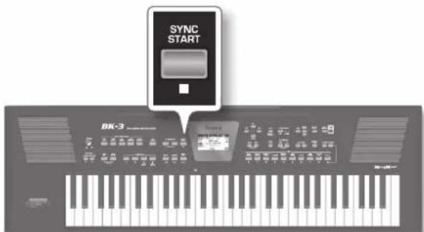 ROLAND BK3 - ×毛 - 1