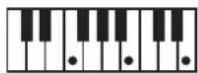 ROLAND BK3 - ×毛 - 140