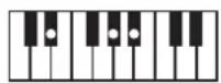 ROLAND BK3 - ×毛 - 59
