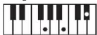 ROLAND BK3 - ×毛 - 122