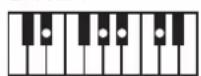 ROLAND BK3 - ×毛 - 65