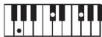 ROLAND BK3 - ×毛 - 142
