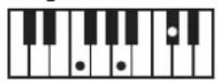ROLAND BK3 - ×毛 - 55