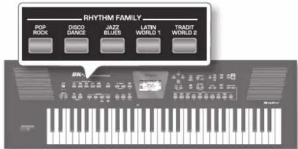 ROLAND BK3 - LZsAto選 - 1