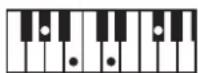 ROLAND BK3 - ×毛 - 117