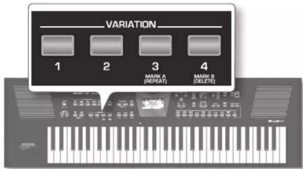 ROLAND BK3 - ×毛 - 2