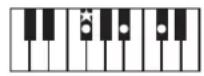 ROLAND BK3 - ×毛 - 74