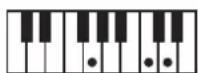 ROLAND BK3 - ×毛 - 128