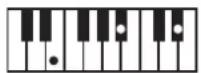 ROLAND BK3 - ×毛 - 139