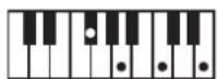 ROLAND BK3 - ×毛 - 115
