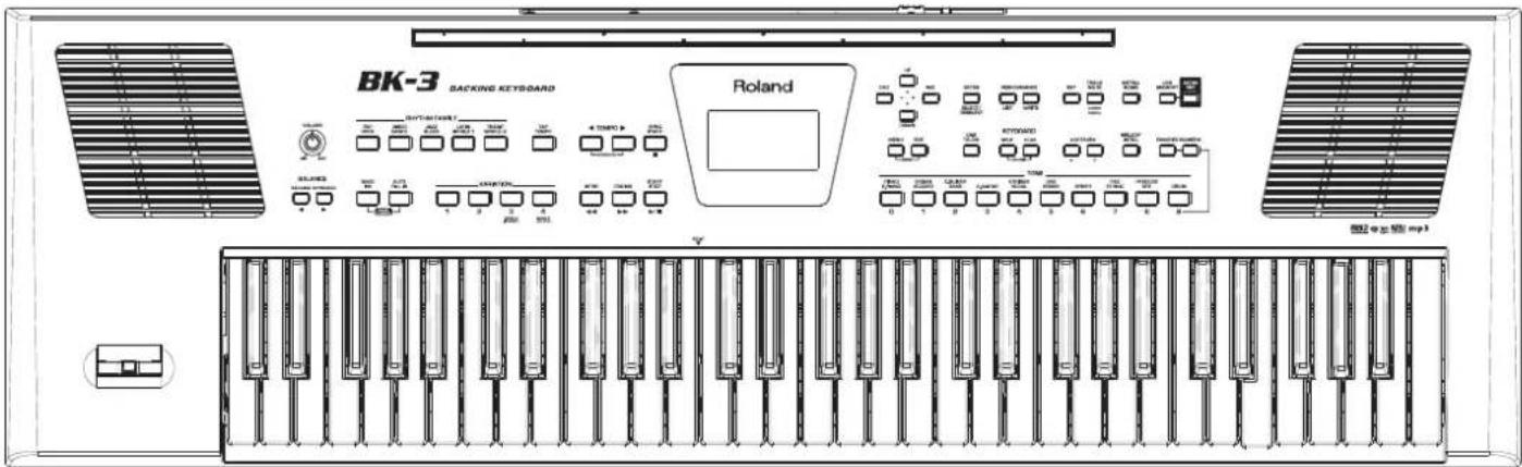 ROLAND BK3 - 1